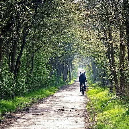 1 Bedroom Casa vacanze