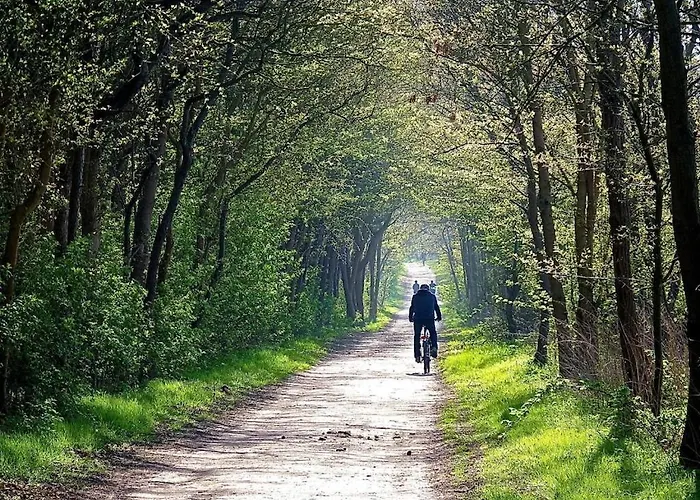 1 Bedroom بيت للعطل